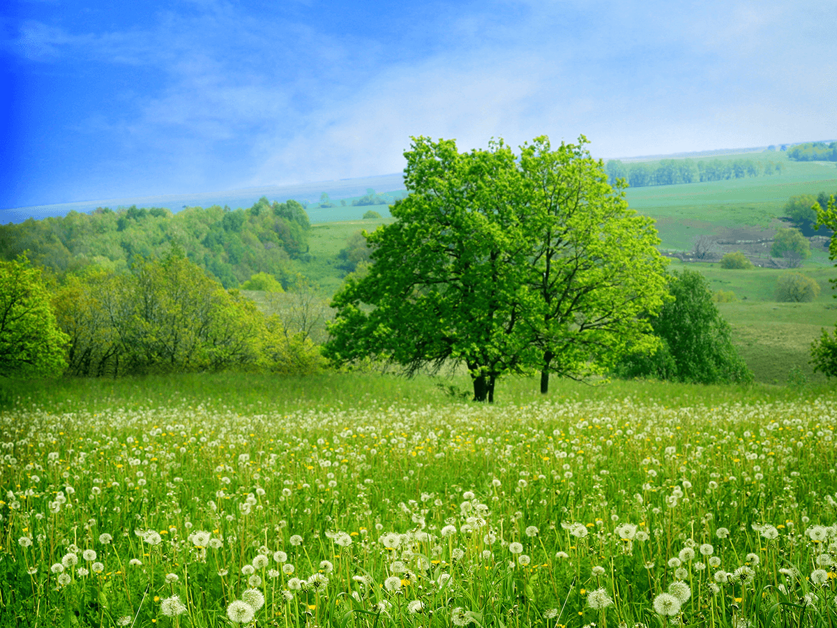 Manikganj Day Tour image