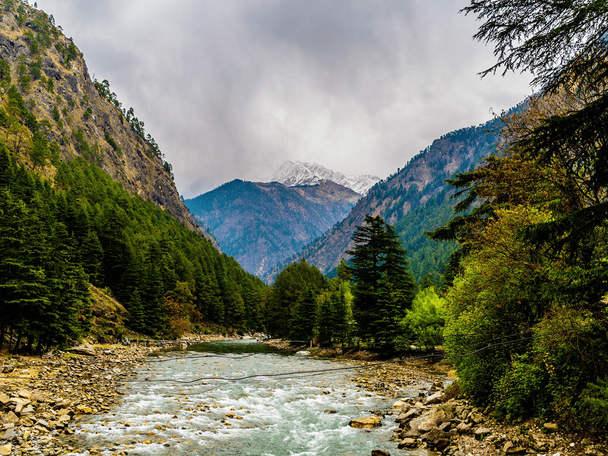 Forest and Wildlife Adventure tour image