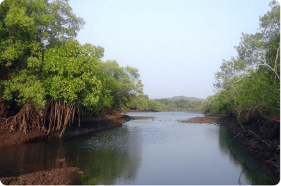 Khulna - Satkhira - Bagerhat image